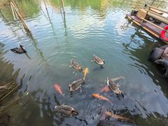 -长鹿旅游休博园