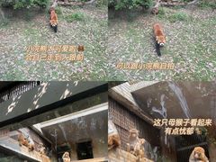 -柳州市动物园