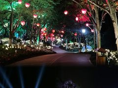 -天目湖山水园
