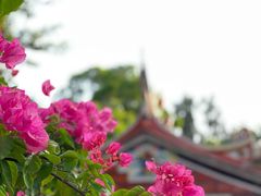 -五通灯塔公园