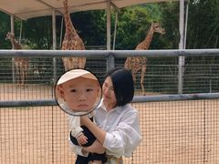 -泉州海丝野生动物世界