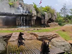 -海南热带野生动植物园