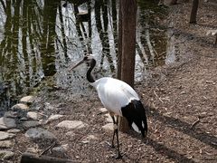 -济南野生动物世界