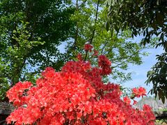 -寒岩夕照农家乐