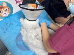 -瑞鹏宠物医院·内科·中兽医·骨科(苗圃店)