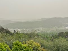 -冶父山国家森林公园