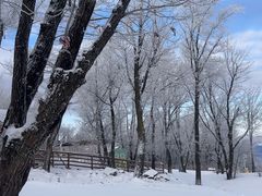 -中旅松花湖滑雪场