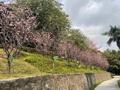 -广东中医药博物馆
