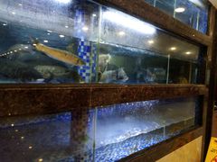 水产区-金榜大酒店-中餐
