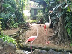 -Ministry of Crab(科伦坡店)