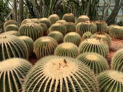 -昆明市金殿名胜区