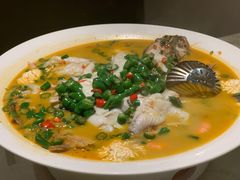 鲜椒豆花鲈鱼-川味堂·四川豆花(八卦岭店)