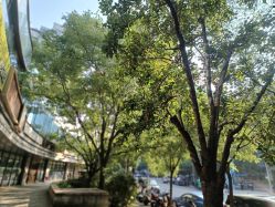 -Oasis Beauty水磨坊科技美肤中心