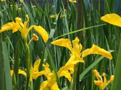 -苏州河梦清园环保主题公园