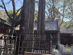 -潭柘寺景区
