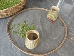 -龙坞茶村