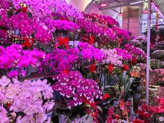 -花鸟鱼虫鲜花绿植市场(玉泉路店)