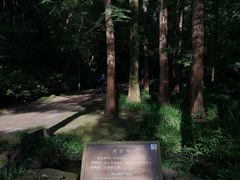 -虎跑公园
