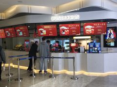 -红星电影世界上海张江绿地店