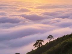 -秦岭风景区