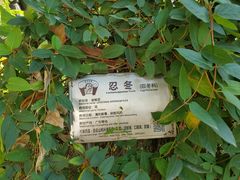 -广州神农草堂中医药博物馆
