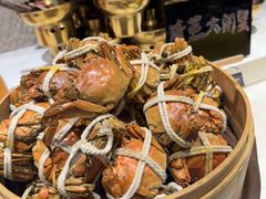 -太湖饭店玉兰厅(自助餐厅)