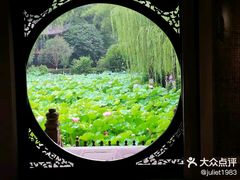 -桂湖森林公园