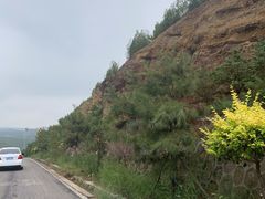 -五龙城郊森林公园