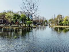 -金银湖国家城市湿地公园