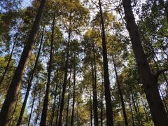 -同里国家湿地公园