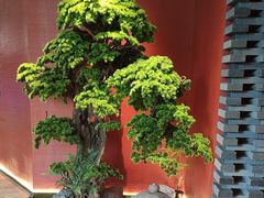 -阿伟海鲜楼·福建菜(延寿店)