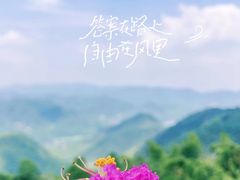 -莫干山风景区