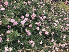 -人民公园(罗湖区)