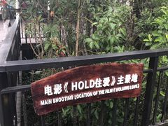 -呀诺达热带雨林