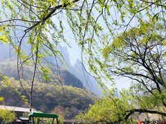 -云台山风景名胜区