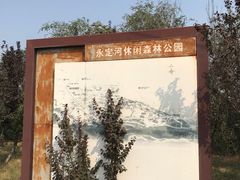 -永定河休闲森林公园