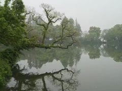 -西湖外事游船(花港观鱼码头)