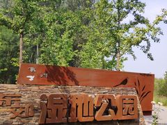 -东郊湿地公园