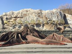 -北京西山国家森林公园