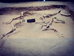 -洛阳周王城天子驾六博物馆