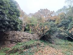 -紫金山山顶公园