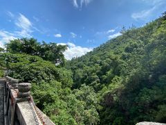 -南海湾森林生态园