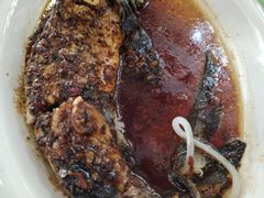 红烧鲟龙鱼-三羊居食府(文艺路店)
