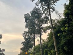 -重庆南山海昌汤都