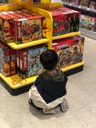-乐高品牌旗舰店(人民广场店)