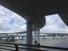 -演武大桥观景平台