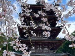 -醍醐寺