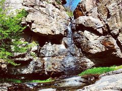 -鲁山国家森林公园