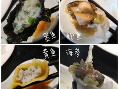 全家福水饺-船歌·鱼水饺青岛菜(合肥路永旺店)