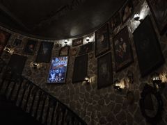 -雪灵魔法世界SHELLY’S TAROT(大良桂畔里店)